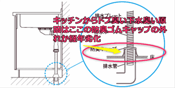 キッチンシンク下がドブ臭い下水臭い原因と解決方法 Wordpressデビュー津々浦々